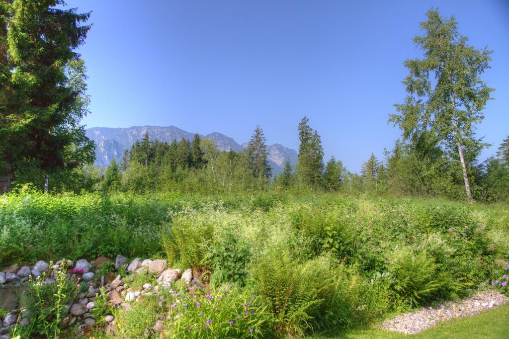 Ferienwohnung Haus Rieder Inzell Buitenkant foto